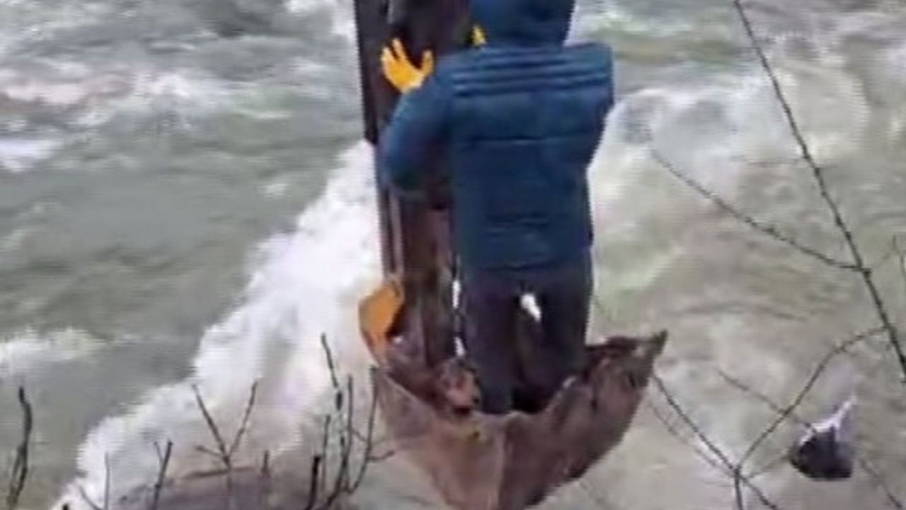 Dere yatağında mahsur kalan yavru köpek kurtarıldı