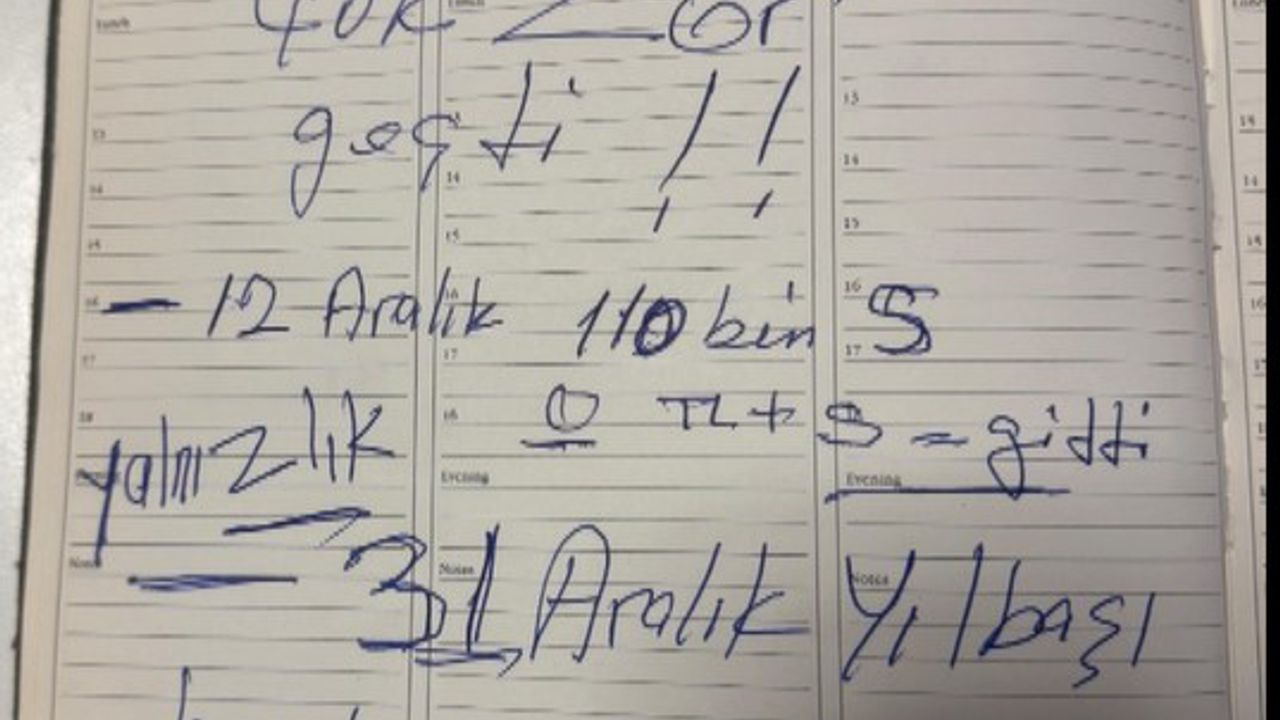 İstanbul- Emekli öğretmeni 117 bin dolar dolandırdı, suç ortağı payını ödemeyince ihbar etti