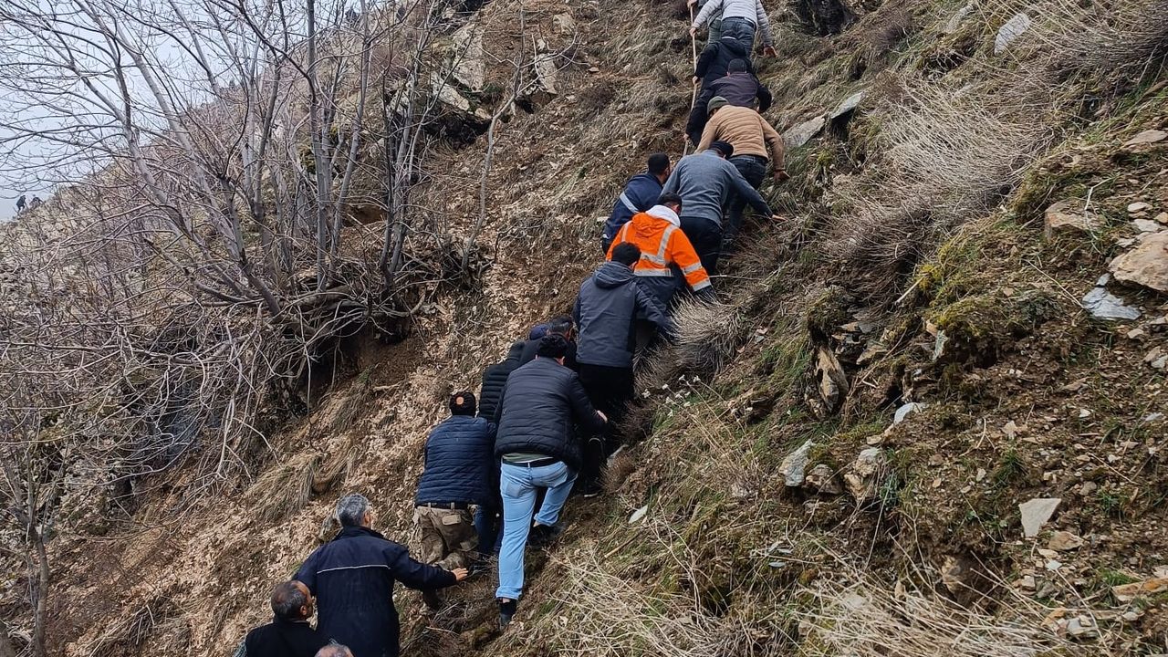 Bitlis'te hafif ticari araç, dereye uçtu: 3 ölü, 5 yaralı/Ek fotoğraflar