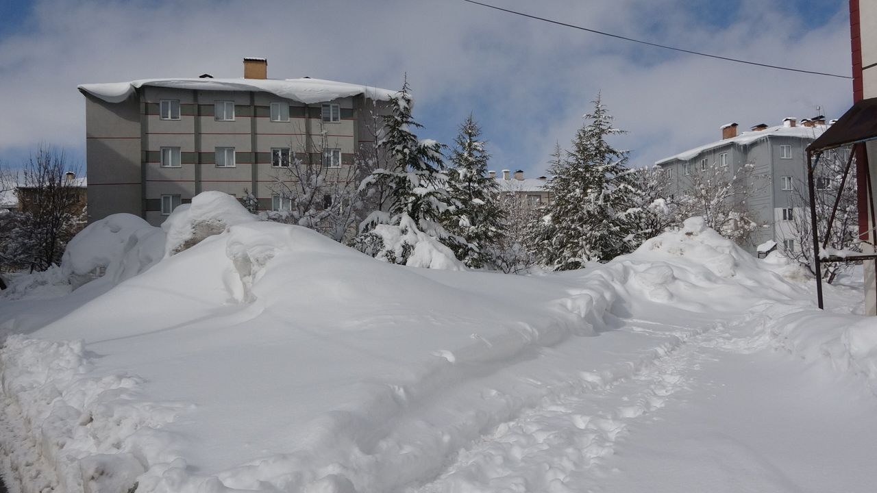 Bitlis'te kardan kapanan 254 köy yolu ulaşıma açıldı