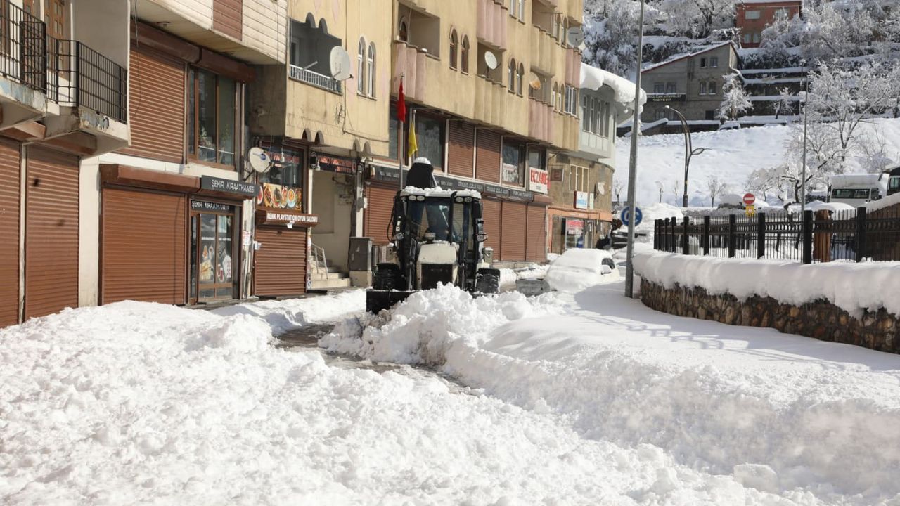 Bitlis'te kar durdu, temizlik çalışması başladı