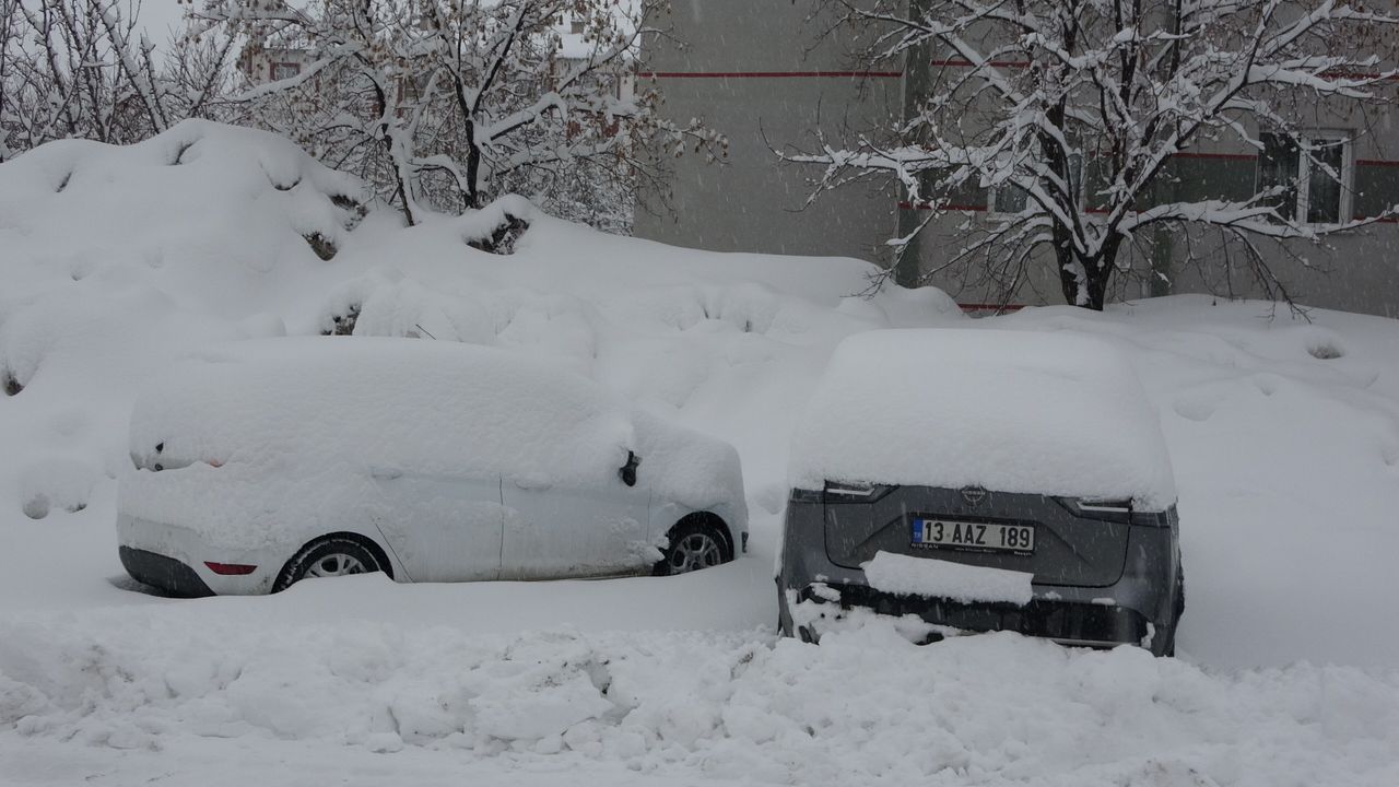 Bitlis'te kar nedeniyle 288 köy yolu ulaşıma kapandı