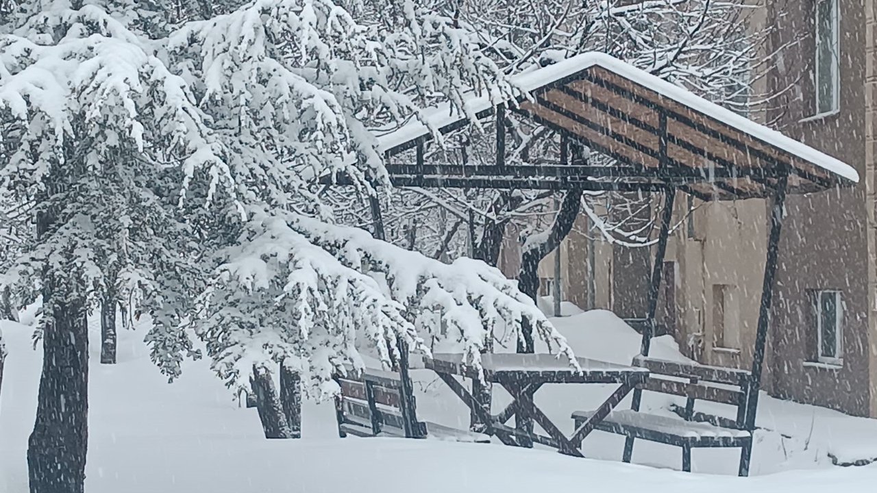 Bitlis'te kar yağışı