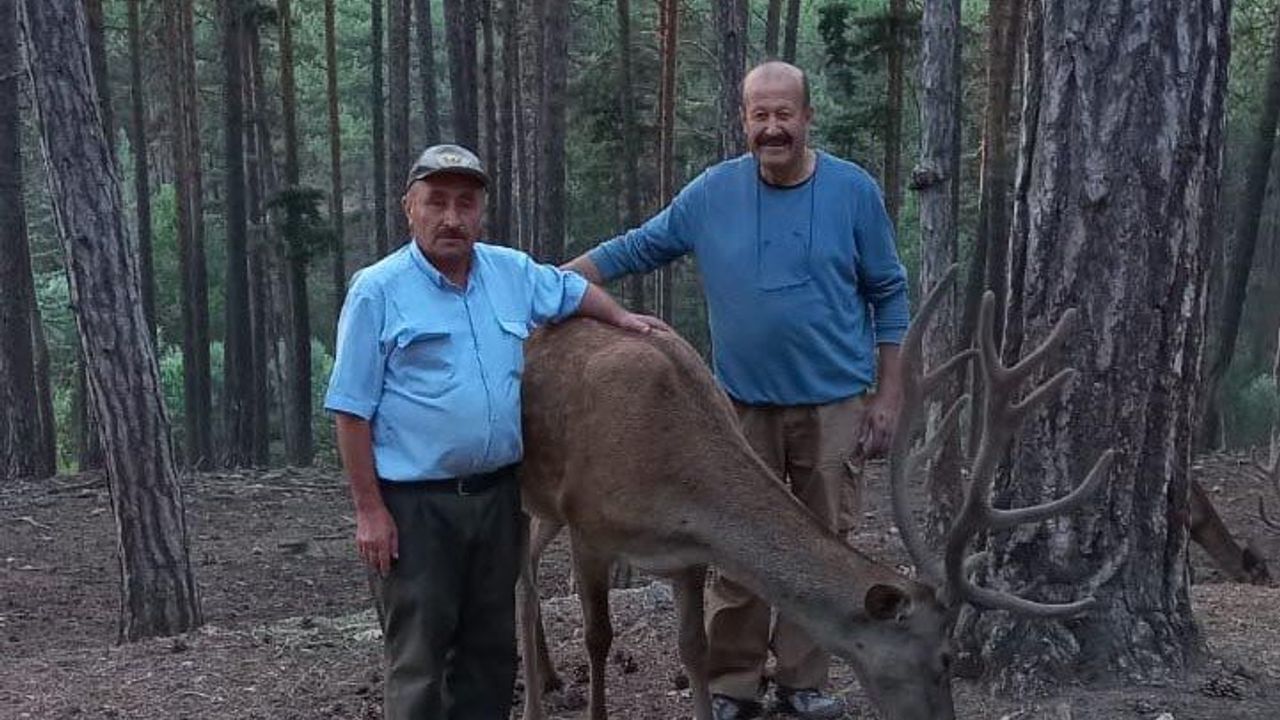Baktığı geyiğin saldırısına uğrayan 38 yıllık çoban, 2,5 senedir yatağa bağımlı yaşıyor