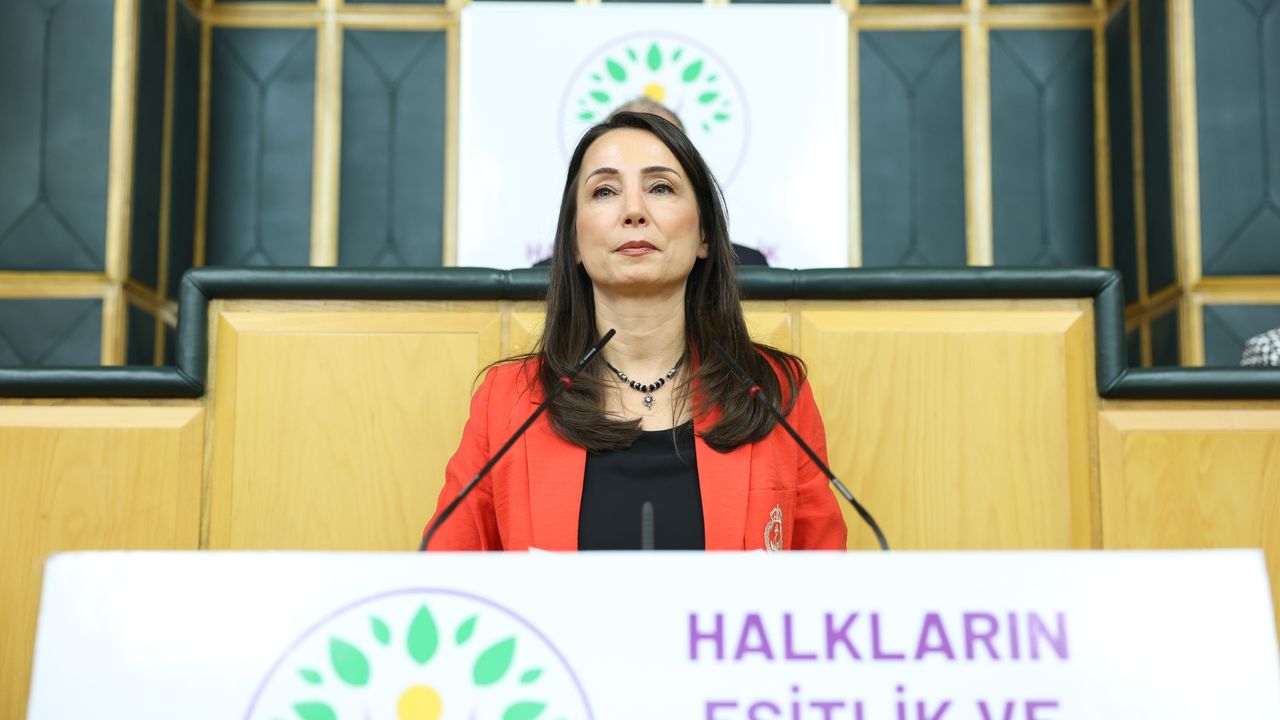 DEM Parti'li Hatimoğulları: Meclis'te komisyon kurulmalı