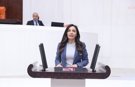 Nurhayat Altaca Kayışoğlu TBMM’de yurt dışı sorunlarını anlattı