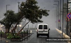 71 su baskını, 29 ağaç devrilmesi, 28 yıldırım düşmesi sonucu yangın, Antalya'da fırtına raporu