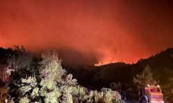 Marmaris'teki orman yangını son durum