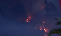 İtalya'da orman yangınlarını söndürme çalışmaları