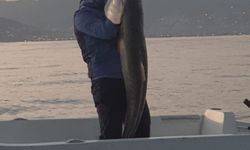 Alanya'da amatör balıkçı, olta ile 1 metre 60 santimetre uzunluğunda Akya tuttu