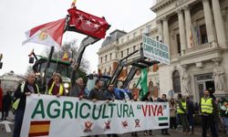 İspanyol çiftçiler, Sorunlarımız yeni değil, 45 yıldır devam ediyor