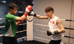Milli kick boksçu Berat, yarım kalan hayali için Dünya Kupası'na odaklandı