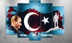 Türk karşıtlığı, Türk düşmanlığı ve Türkofobi