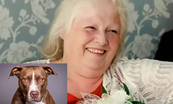 İngiltere'de köpeklerinin saldırısına uğrayan kadın öldü