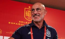 İspanya Teknik Direktörü Fuente'nin Gürcistan korkusu