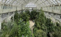 Londra Kew Gardens'a iklim tehlikesi