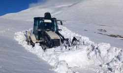 Sivas'ta kar nedeniyle yaylada mahsur kalan çoban ve 70 küçükbaş hayvan kurtarıldı