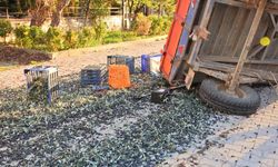 Balıkesir’de zeytin işçilerini taşıyan traktör römorkunun devrilmesi sonucu 5 kişi yaralandı