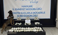 Hakkari'de 35 kilogram sentetik uyuşturucu ele geçirildi