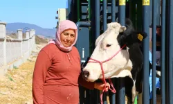 Antalyalı hayvan üreticisine belediyeden destek