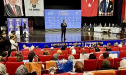 AK Parti Genel Başkan Yardımcısı Zeybekci, partisinin Kırşehir İl Kongresi'nde konuştu: