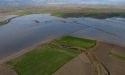 Büyük Menderes Nehri'nde taşkınlar yaşandı