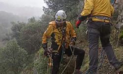 Denizli'de kayalıklarda mahsur kalan keçiyi AFAD ve gönüllü ekipler kurtardı