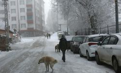 Erzurum sıfırın altında 17 dereceyle Türkiye'nin en soğuk ili oldu