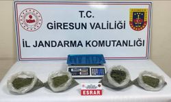 Giresun'da uyuşturucu operasyonunda 2 zanlı tutuklandı