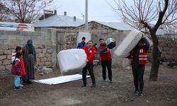 Van'da yaşlı kadın ve torunları kışı sıcak yuvalarında geçirecek