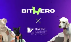 Haytap ve BitHero Kripto güçlerini birleştirdi