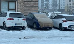 Erzurum, Ardahan, Ağrı ile Kars'ta yoğun kırağı ve buzlanma oluştu