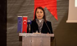 Sakarya'da "Türkiye'nin Ulaşımda Net Sıfır Emisyon Yol Haritası Projesi" çalıştayı düzenleniyor