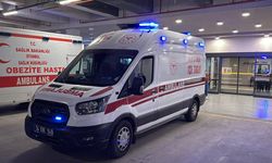 Kuzey Makedonya'daki yangında ağır yaralanan 3 kişi ambulans uçakla İstanbul'a getirildi