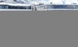 Muş ve Bitlis'te sis ve soğuk hava etkisini sürdürüyor