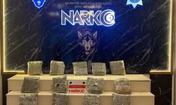 Edirne'de tırda 13 kilo 621 gram uyuşturucu ele geçirildi