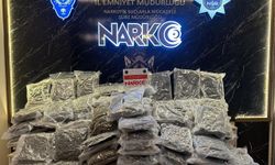 GÜNCELLEME - Hamzabeyli Sınır Kapısı'nda aranan tırda 115 kilogram uyuşturucu ele geçirildi