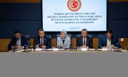 Kamu denetçileri TBMM'de milletvekillerini bilgilendirdi
