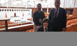 TBMM, engellilerin sorunlarını araştıracak
