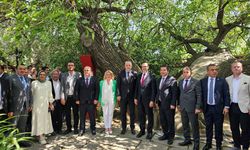 Balkan fatihi Murat Hüdavendigar, şehadetinin 636. yılında Kosova'da anıldı