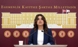 DEM Parti Grup Başkanvekili Koçyiğit, gündemi değerlendirdi: