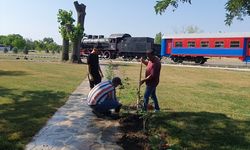 Edirne'de turistlerin "fotoğraf çekim noktası" nostaljik kara trenin bakımı yapıldı