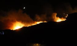 GÜNCELLEME 5 - Hatay'da ormanlık alanda yangın çıktı