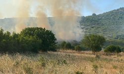 GÜNCELLEME - Balıkesir'de tarım arazisinde çıkan yangın kontrol altına alındı
