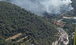 GÜNCELLEME - İzmir'in 2 ilçesinde çıkan yangınlar kontrol altına alındı