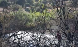 GÜNCELLEME - Marmaris'te çıkan orman yangını kontrol altına alındı