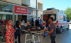 Kozan'da ağaçtan düşen kişi yaralandı