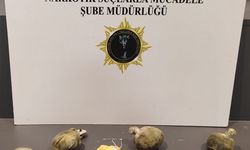 Samsun'da uyuşturucu bulunan otomobildeki 3 şüpheli gözaltına alındı