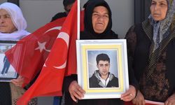 Vanlı aileler, DEM Parti İl Başkanlığı önündeki eylemlerini sürdürdü