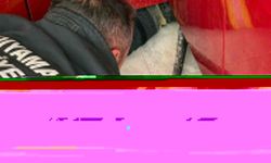 Adıyaman'da evin mutfağına giren yılanı itfaiye ekibi yakaladı